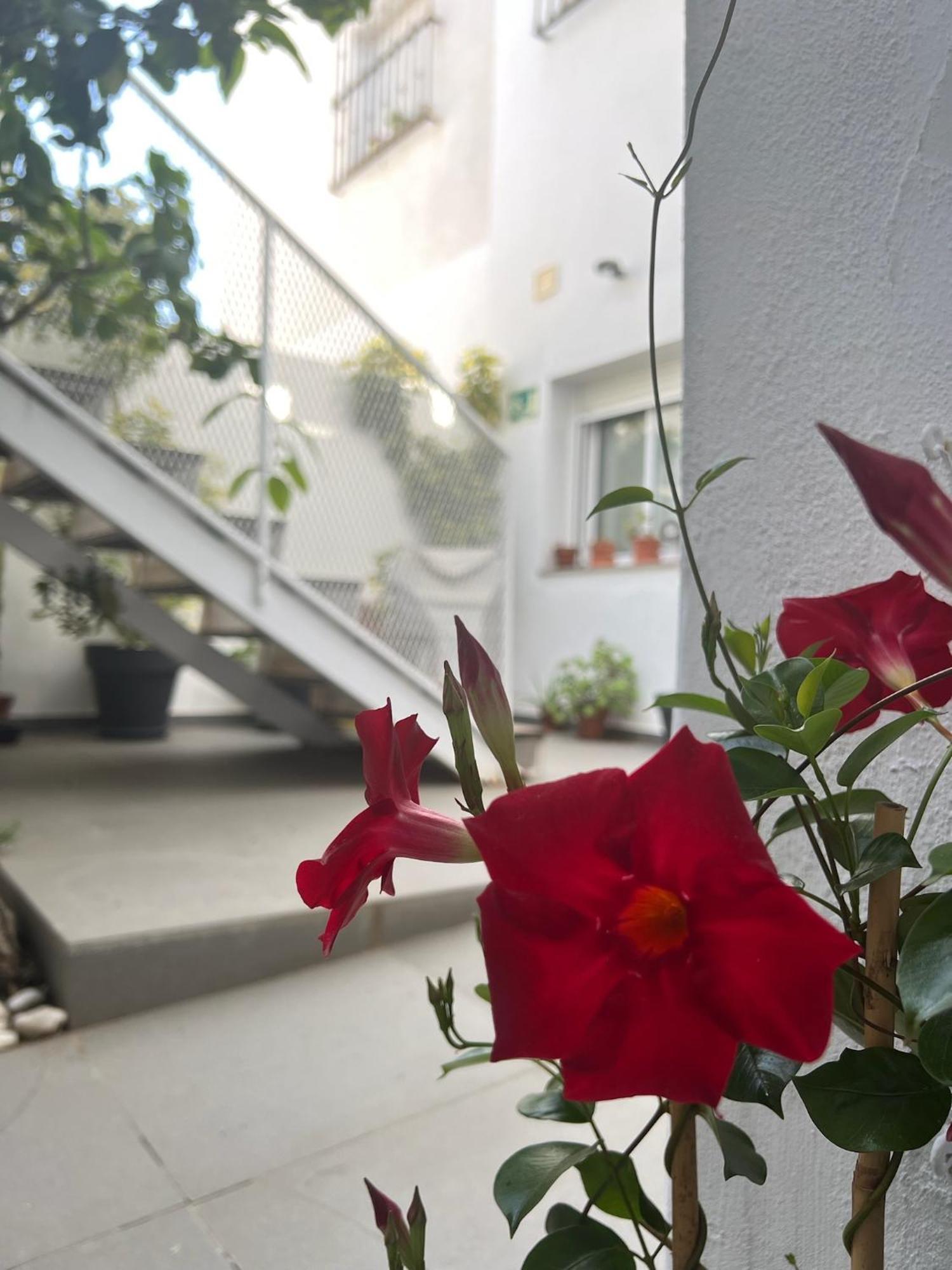 Chipibeach B&B, Hostal Boutique Chipiona Kültér fotó